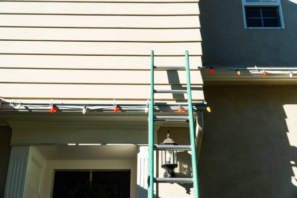 Affordable Siding Repair and Maintenance Services in Patrick Af, FL